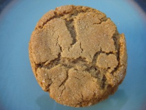 molasses cookie