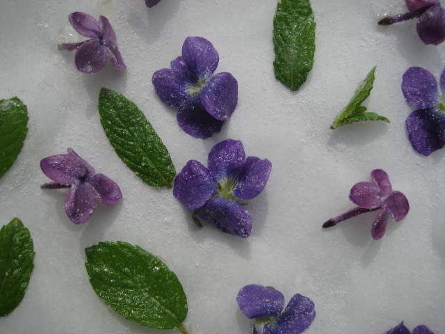 sugared flowers