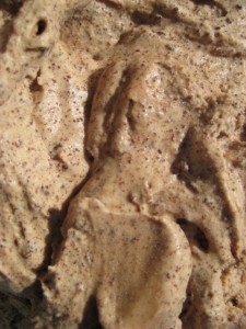 Mexican chocolate ice cream texture 